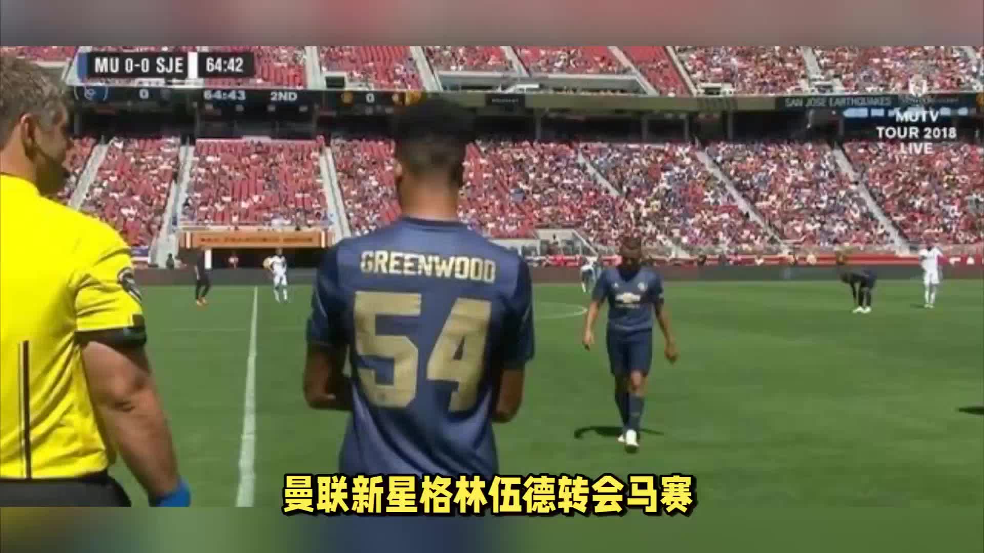 能见证球